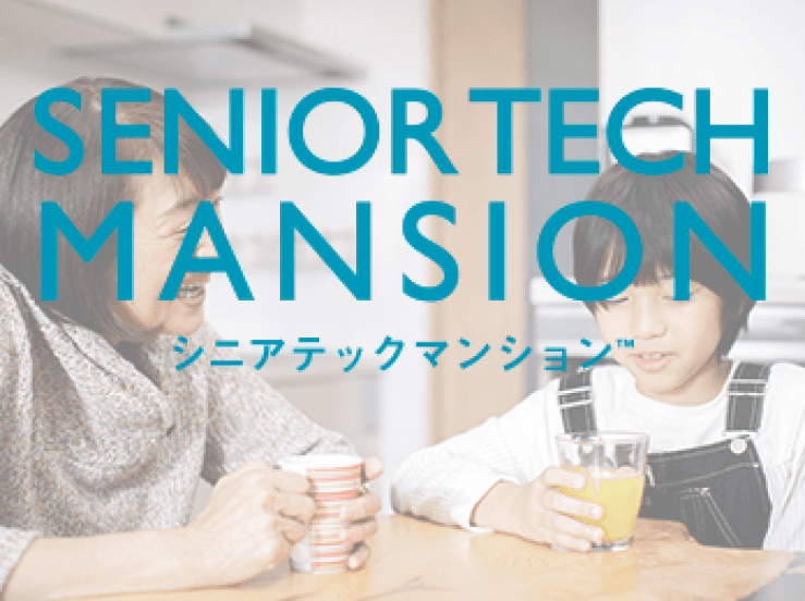 Senior Tech Mansion