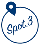SPOT3