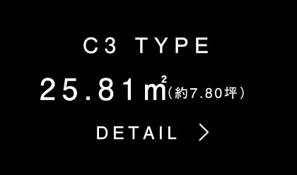 c3'