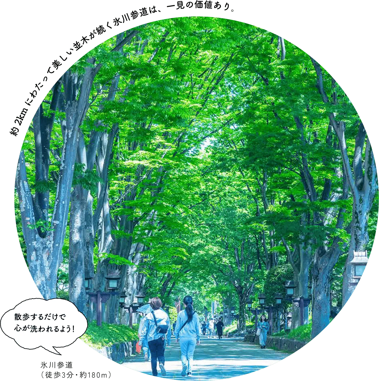 氷川参道(徒歩3分・約180m)
