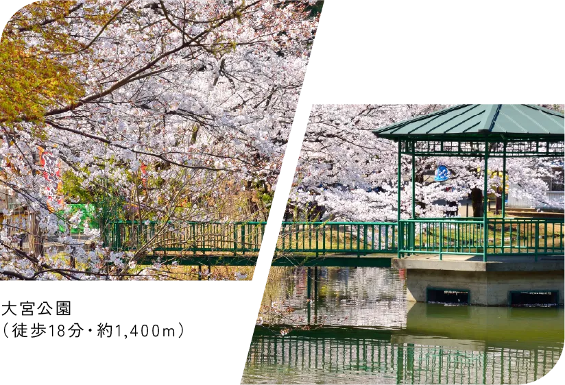 大宮公園