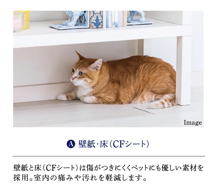 Aの説明