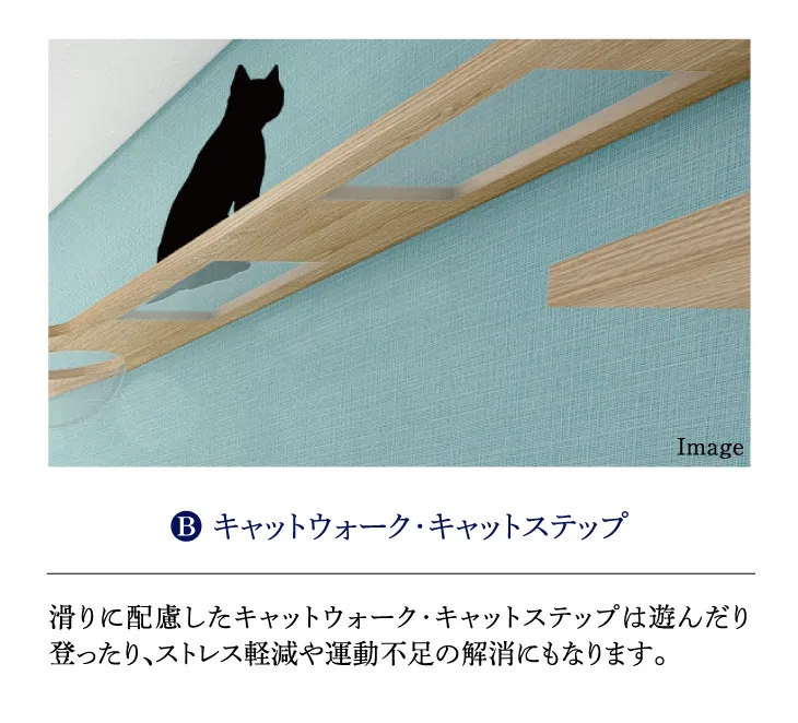 Bの説明